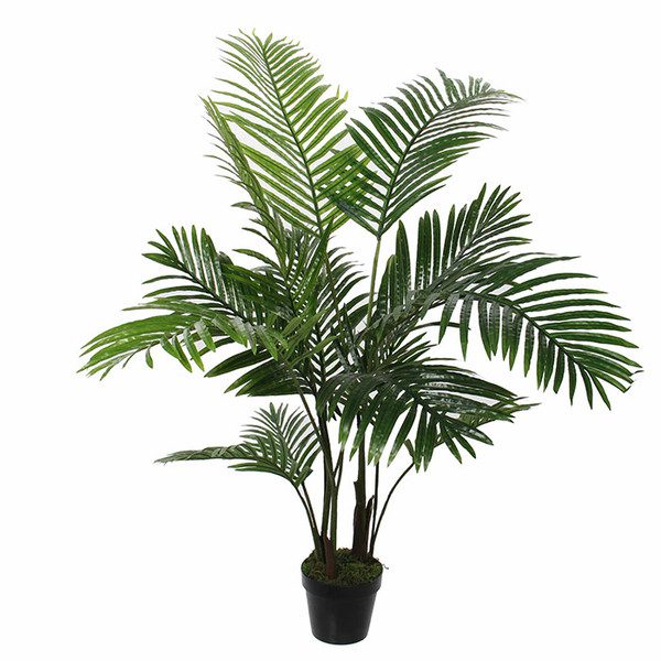 Plante d'intérieur - Palmier areca de 120cm