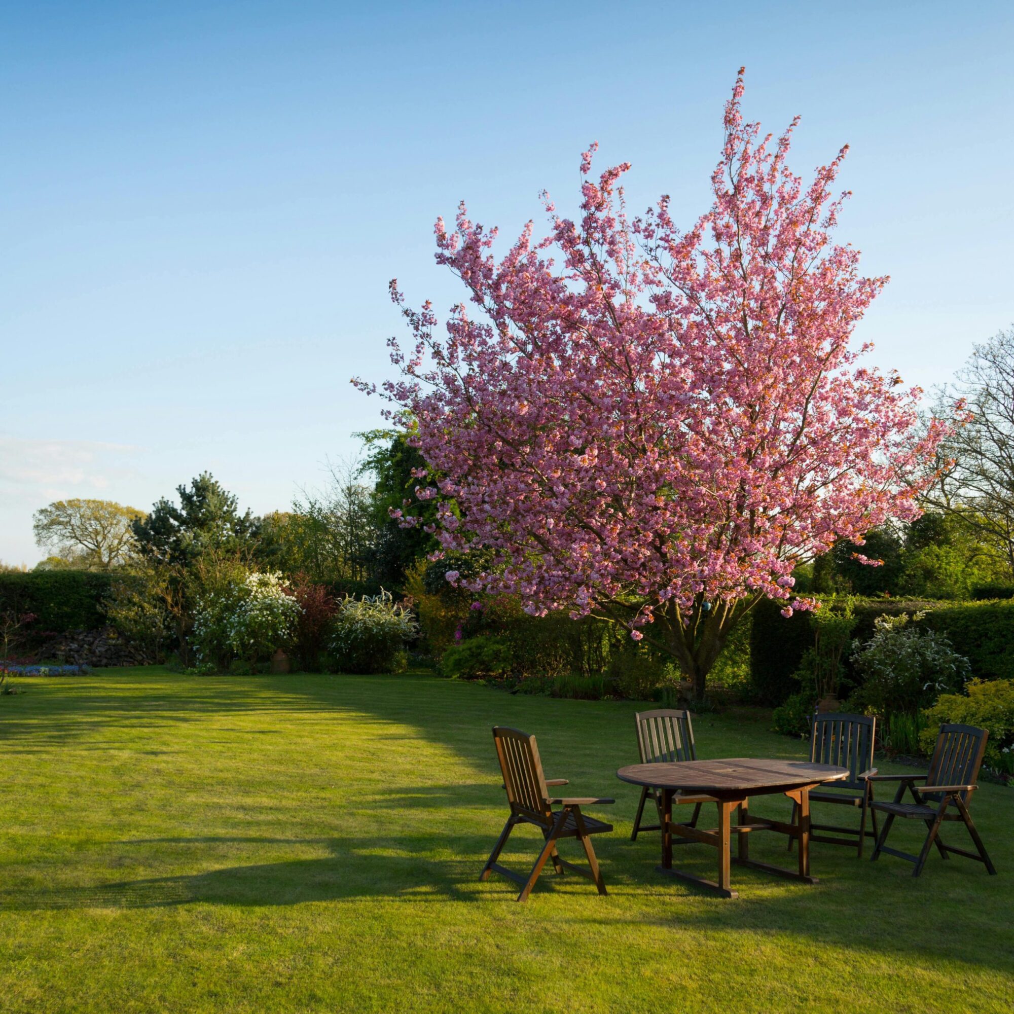 image entretenir son jardin 3