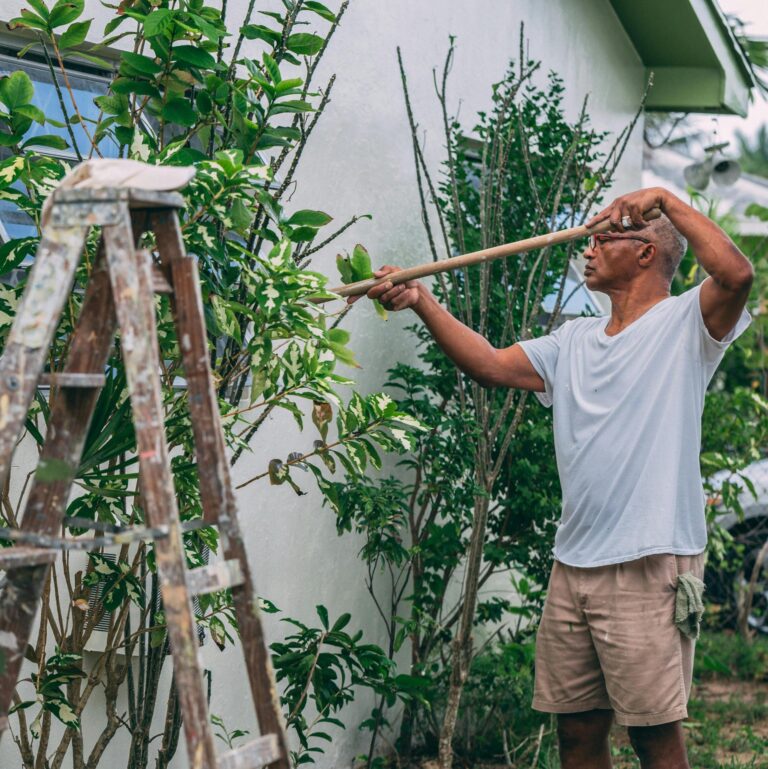 Les meilleures idées de projets DIY (Do It Yourself) pour votre jardin