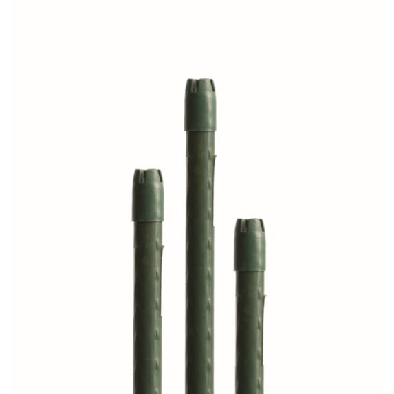 ACIER BÂTON DE PLANTE WINDHAGER