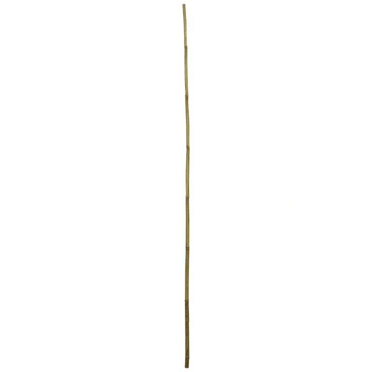BÂTONS DE TONKIN WINDHAGER BAMBOU NATUREL 