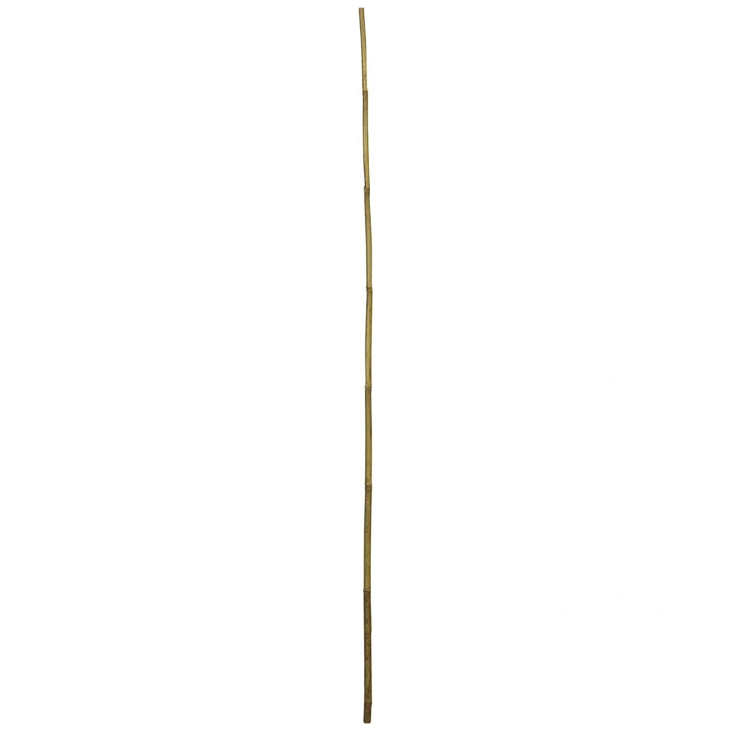 BÂTONS DE TONKIN WINDHAGER BAMBOU NATUREL 