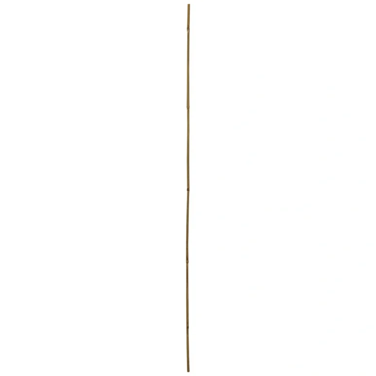 BÂTONS DE TONKIN WINDHAGER BAMBOU NATUREL