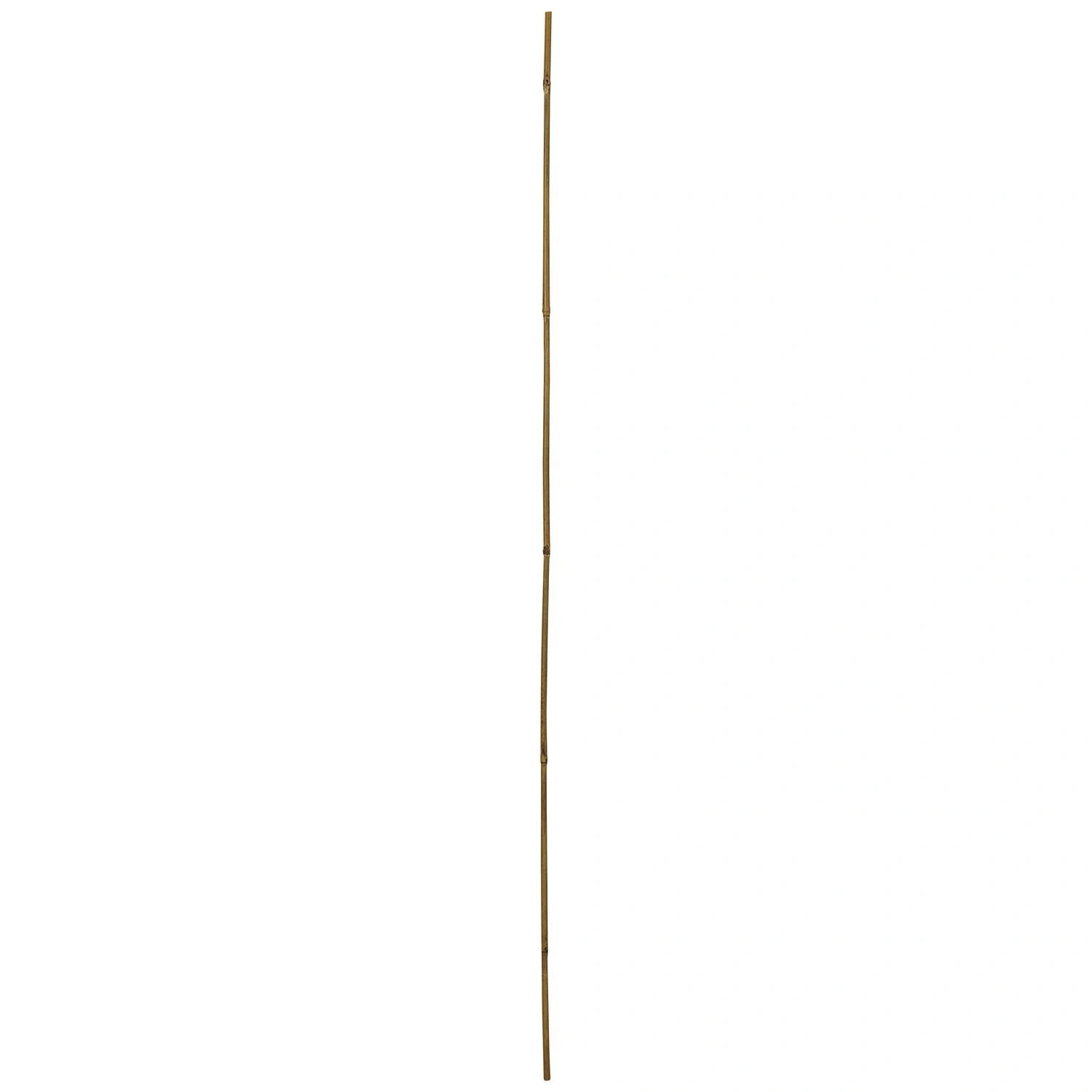 BÂTONS DE TONKIN WINDHAGER BAMBOU NATUREL