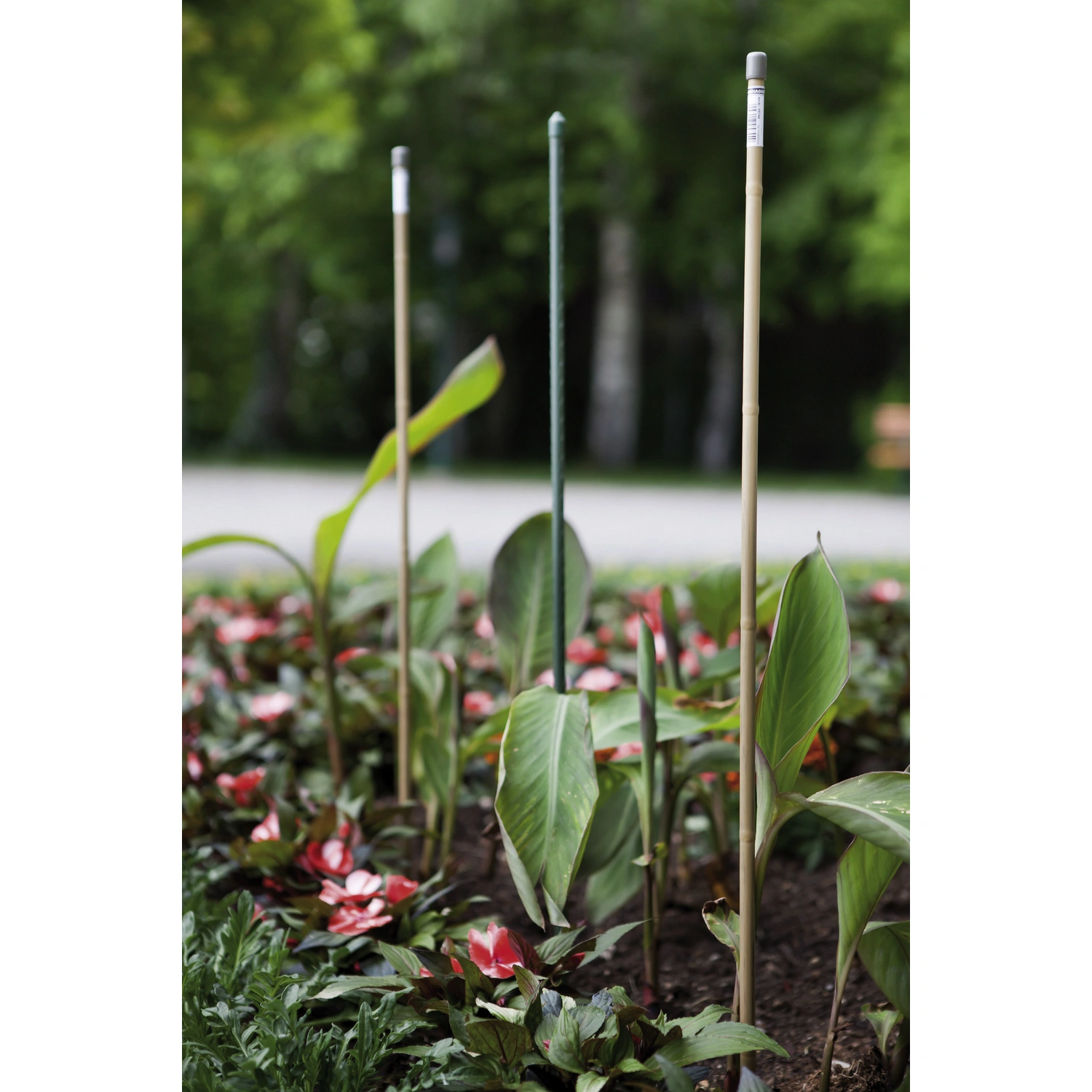 WINDHAGER, BÂTON DE PLANTATION, ACIER, VERT