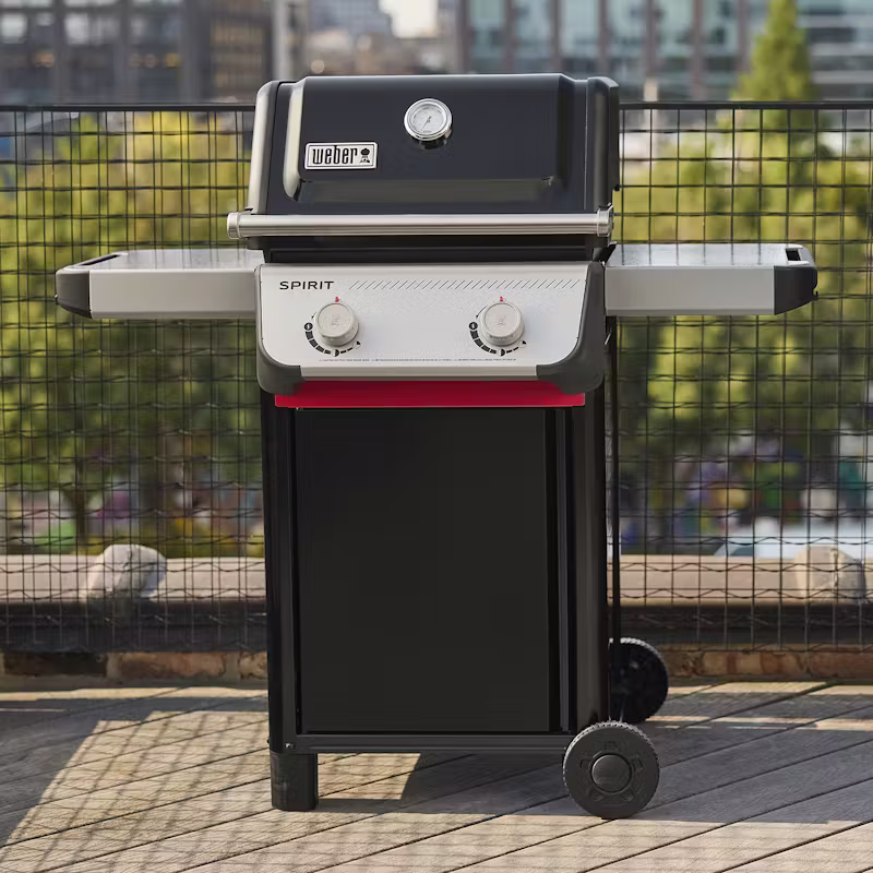 BARBECUE A GAZ SPIRIT® E-210
