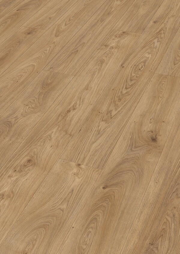CHÊNE REVERAIN ETUVE 07116