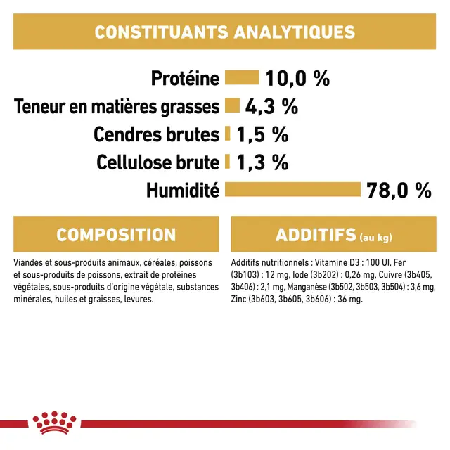 Aliment complet pour chats adultes Maine Coon