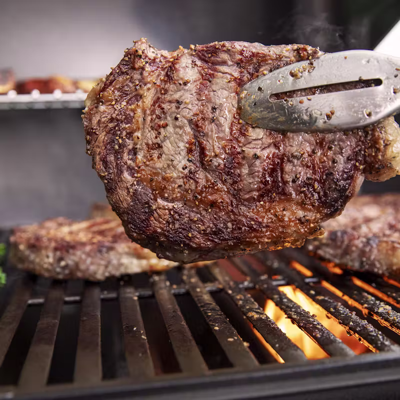 BARBECUE A GAZ GENESIS E-135