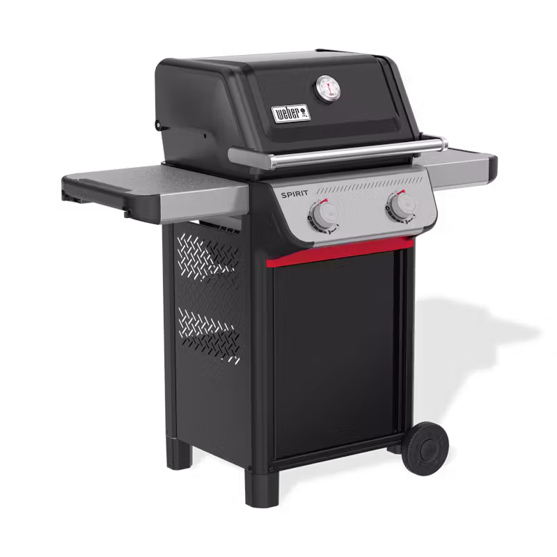 BARBECUE A GAZ SPIRIT® E-210