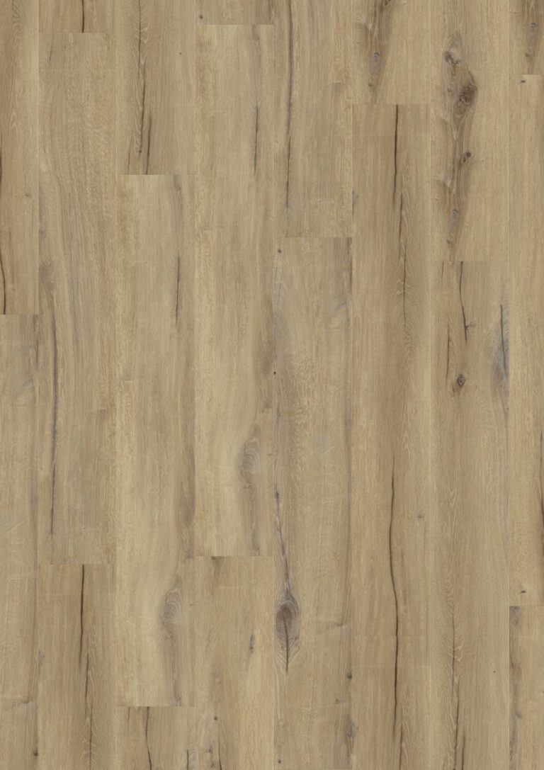 VIRTUO 30 ACOUSTIQUE RIGIDE 1010 DAINTREE BROWN