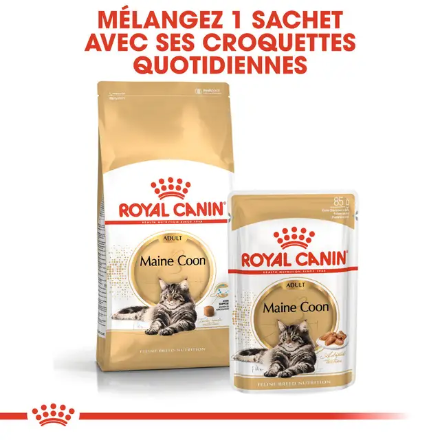 Aliment complet pour chats adultes Maine Coon