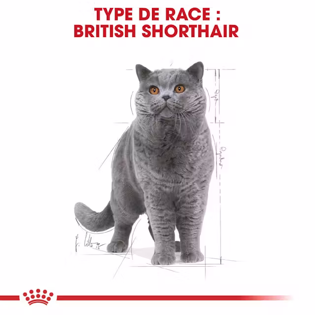 Nourriture humide pour chat British Shorthair 85 g