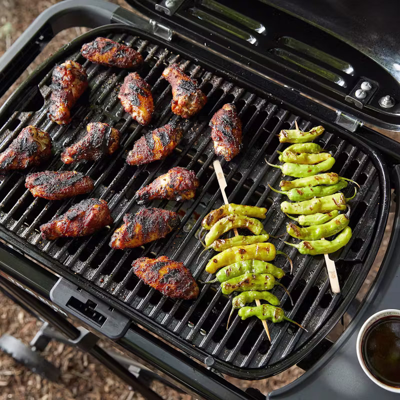 BARBECUE TRAVELER COMPACT A GAZ