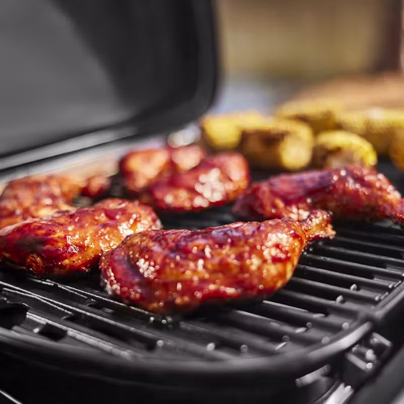 BARBECUE TRAVELER COMPACT A GAZ