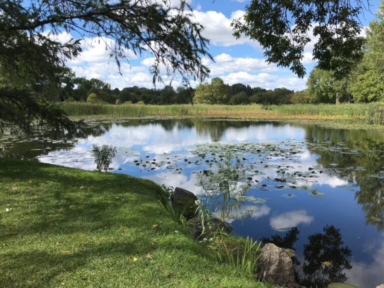 Bassin