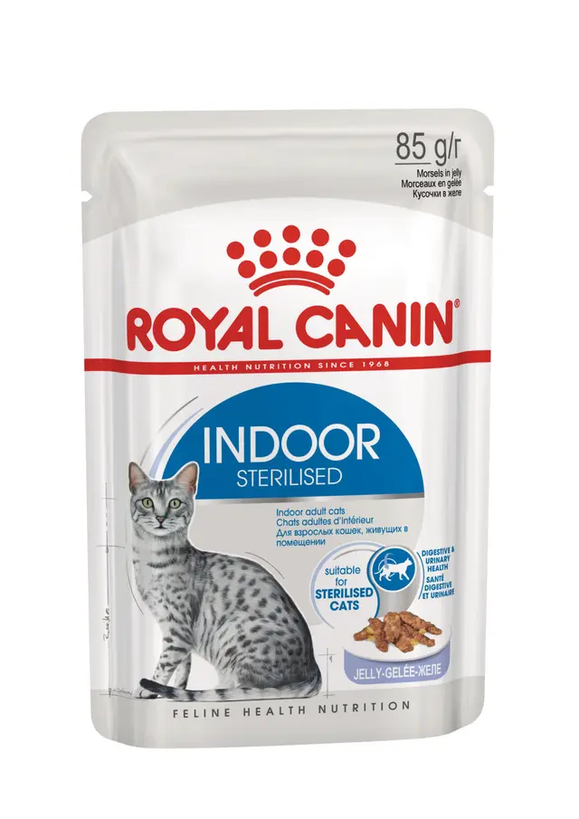 Gelée pour chats adultes d’intérieur