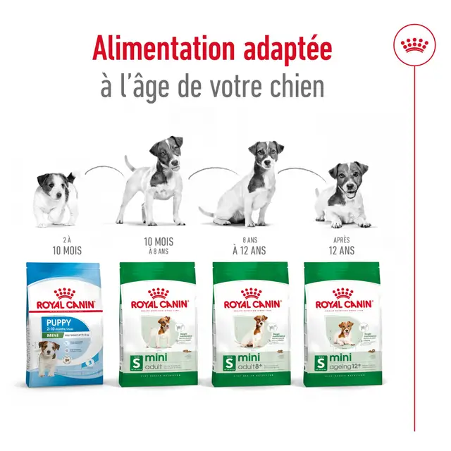 Croquettes pour chiens adultes de petites races (jusqu’à 10 kg) – À partir de 10 mois