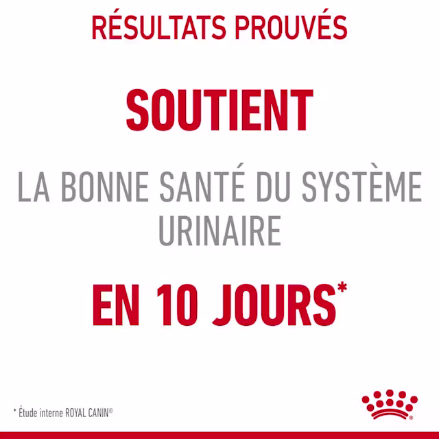Croquettes pour la santé urinaire pour chats 85g