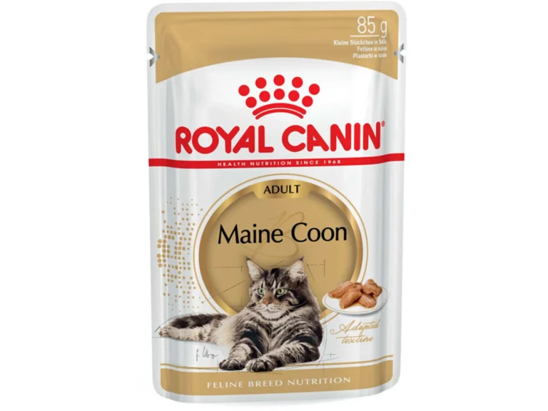 Aliment complet pour chats adultes Maine Coon