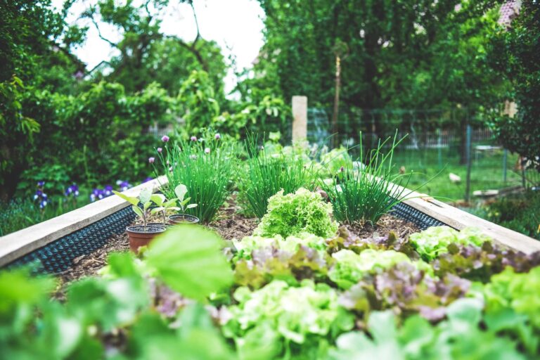 Jardinage