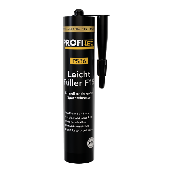 P586 Mastic à séchage rapide F15