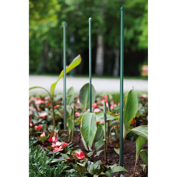 TUTEUR POUR PLANTE EN PLASTIQUE/ACIER