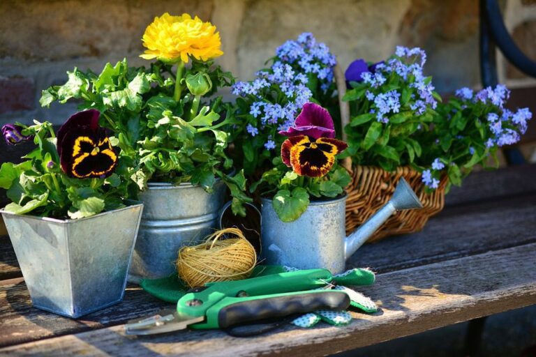 Pot de fleur