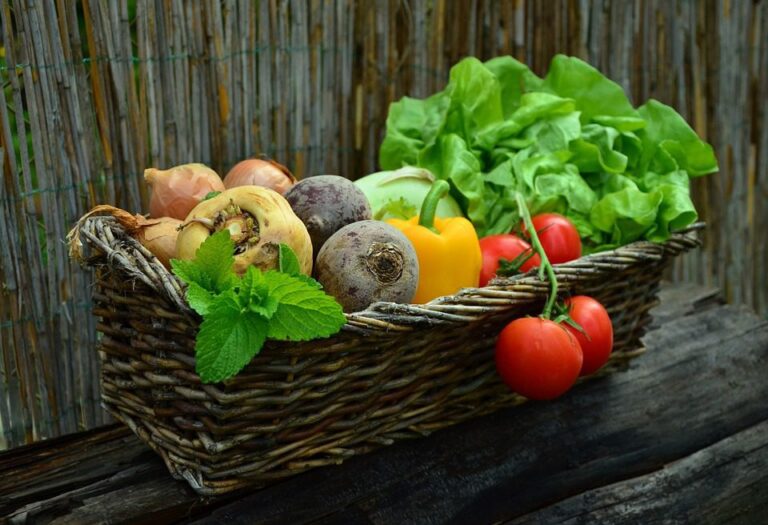 Potager