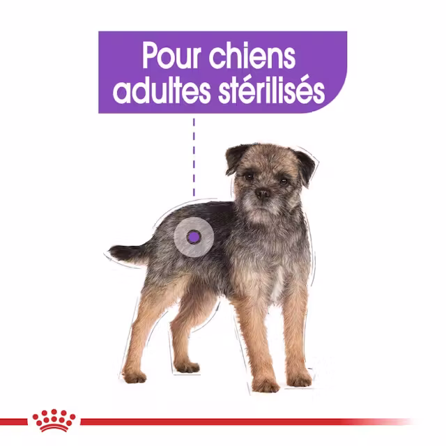 Aliments mousse pour chiens adultes stérilisés de plus de 10 mois ayant tendance à prendre du poids