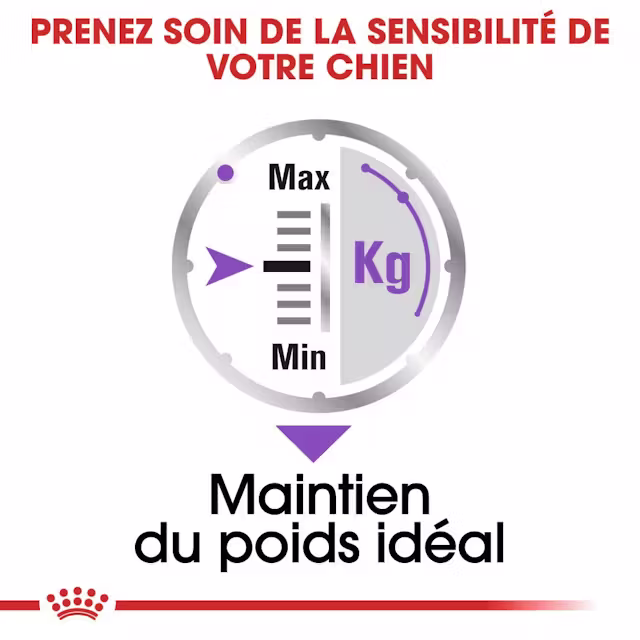Aliments mousse pour chiens adultes stérilisés de plus de 10 mois ayant tendance à prendre du poids