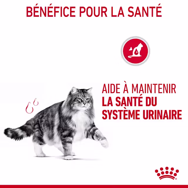 Croquettes pour la santé urinaire pour chats 85g