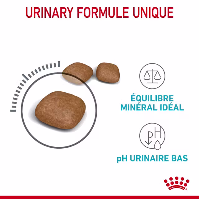 Croquettes pour la santé urinaire pour chats 85g