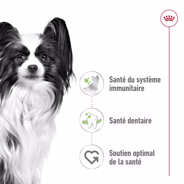 Nourriture humide en sauce pour chiens X-SMALL adulte 85g