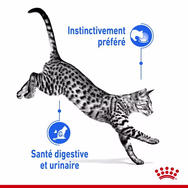Aliment complet pour chats adultes d’intérieur (morceaux en sauce)