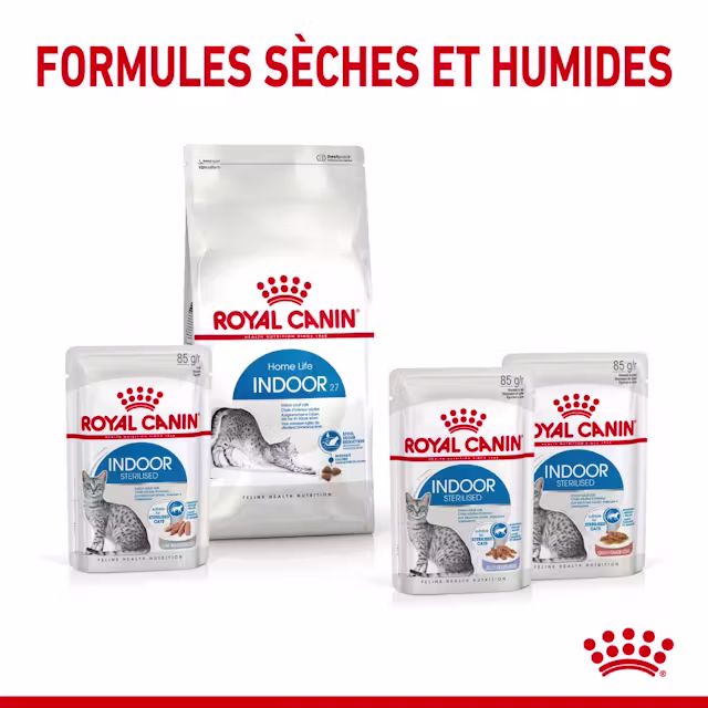 Gelée pour chats adultes d’intérieur