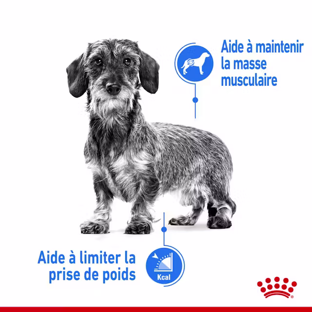 Nourriture humide pour chiens en surpoids 85 g