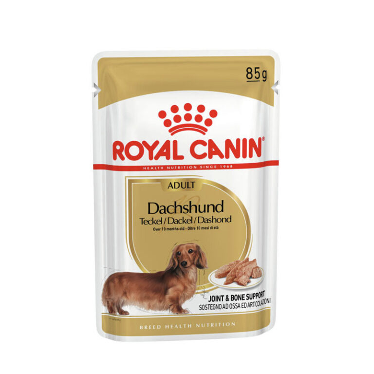 ROYAL CANIN® Breed Health Nutrition Teckel en Sauce – 85 g