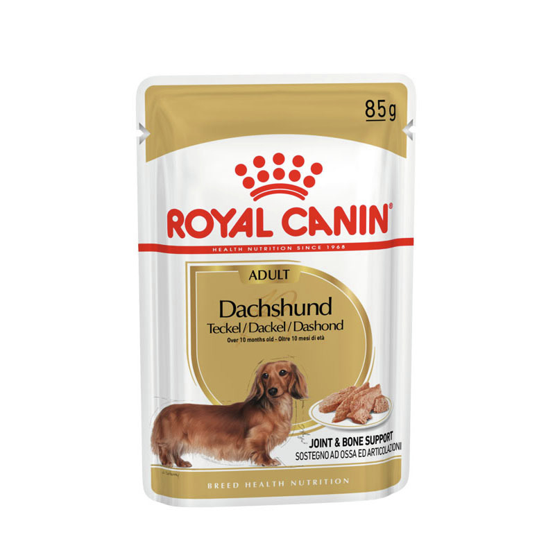 ROYAL CANIN® Breed Health Nutrition Teckel en Sauce – 85 g