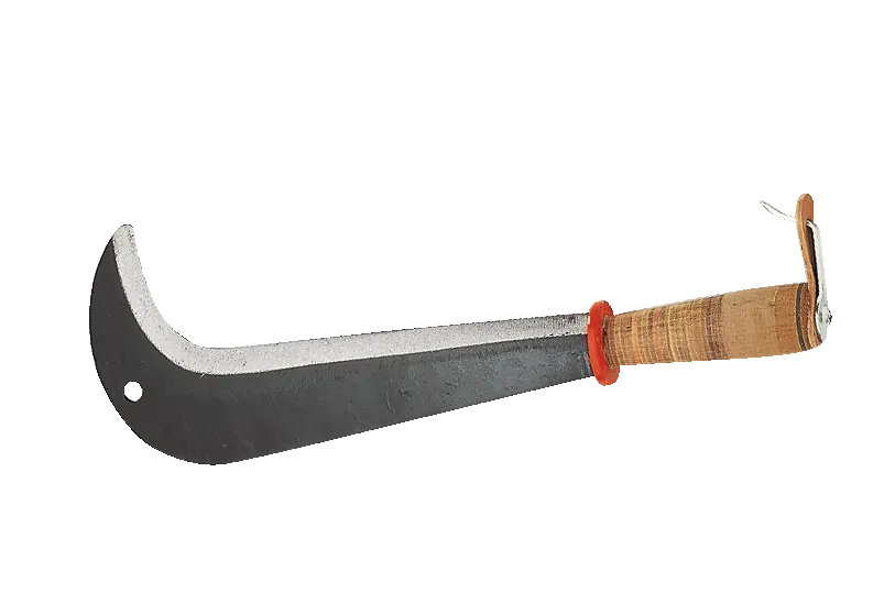 Serpe suisse, 43 cm