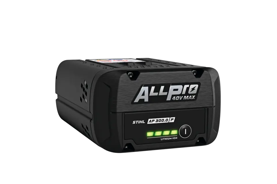 AP 300.0 P
