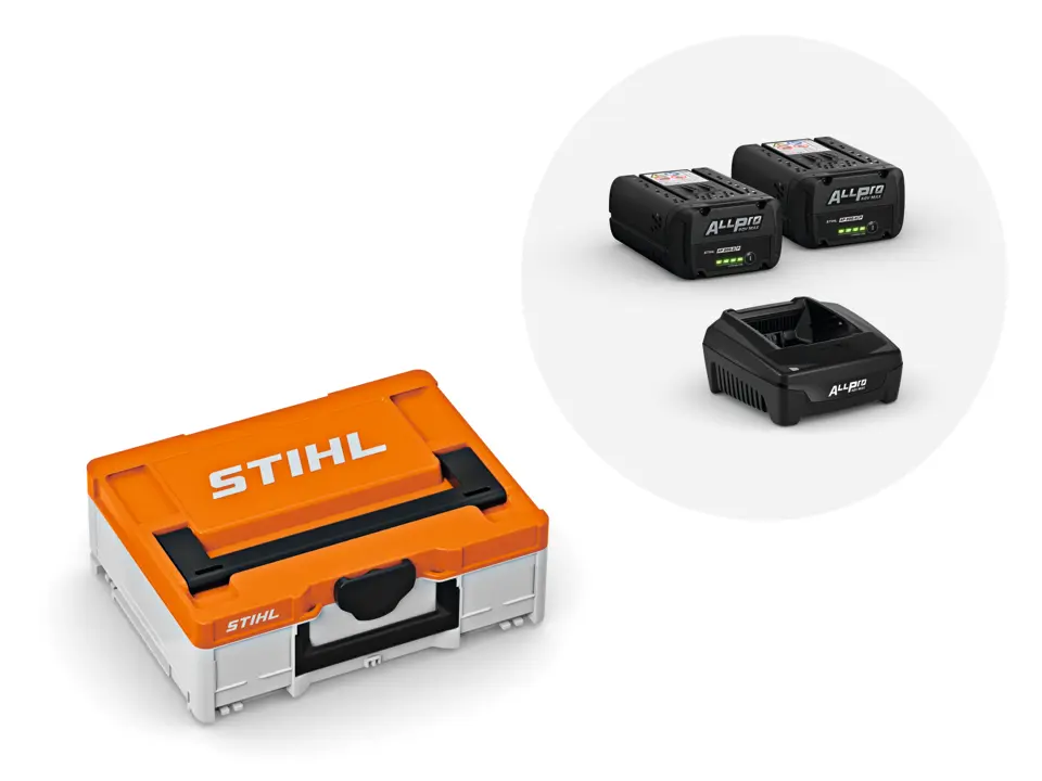 Power Box S, avec 2x batterie AP 200.0 P et chargeur AL 301.1