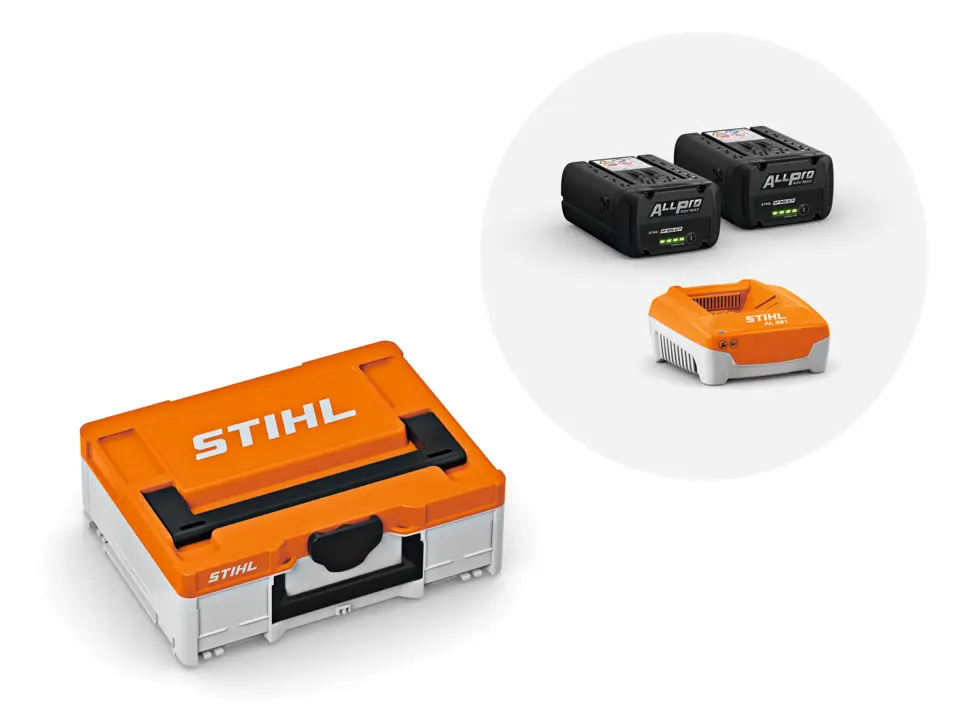 Power Box S avec 2x batterie AP 300.0 PC et chargeur AL 501